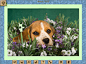 1001 Jigsaw Home Sweet Home Back From Vacation screenshot