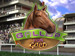 Gallop for Gold Slots screenshot