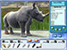 Zoo Vet Endangered Animals screenshot